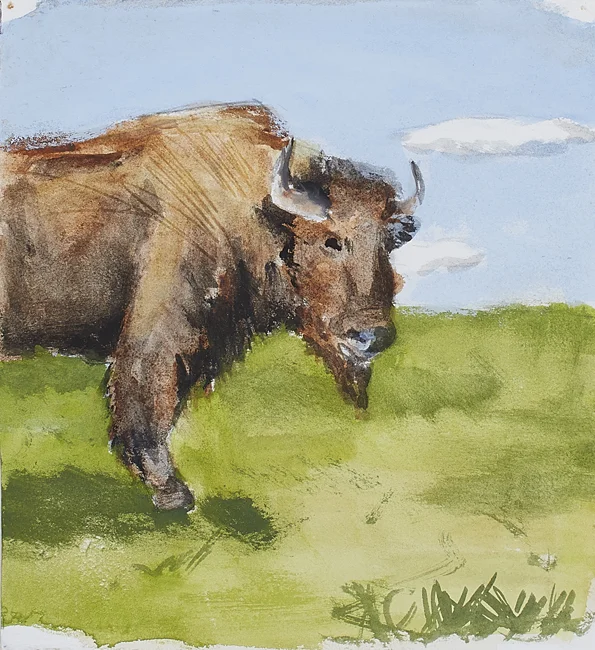 buffalo.jpg