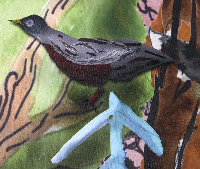 Detail: Robin