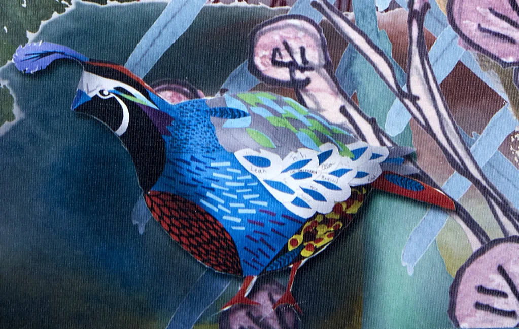 Detail: California Quail