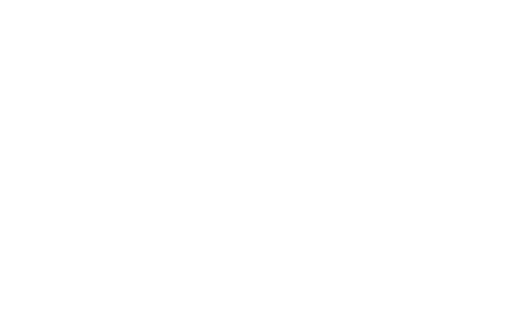 OFFICIAL SELECTION - South Carolina Underground Film Festival - 2018.png