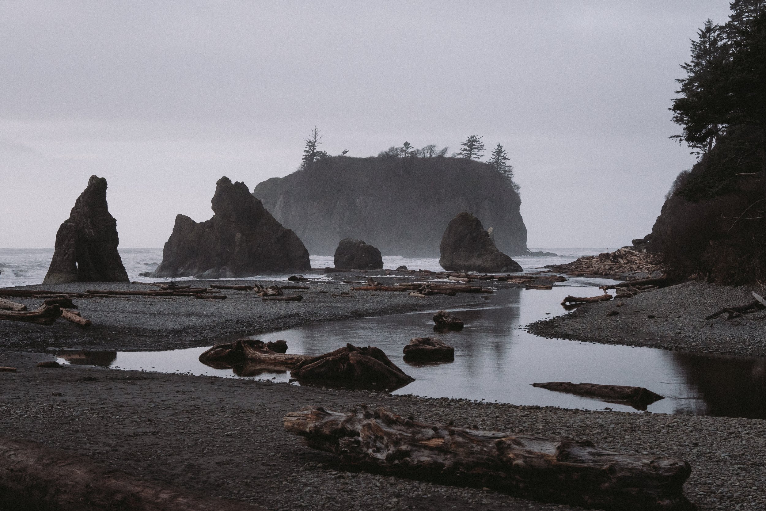 Ruby Beach (4 of 7).jpg