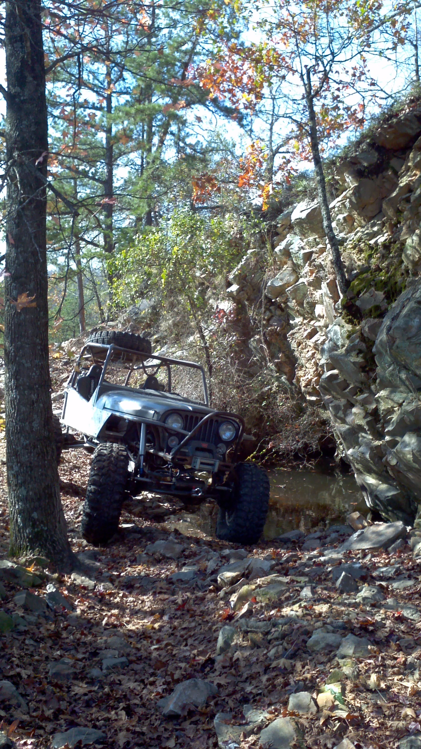 2011-11-25_11-43-00_735.jpg
