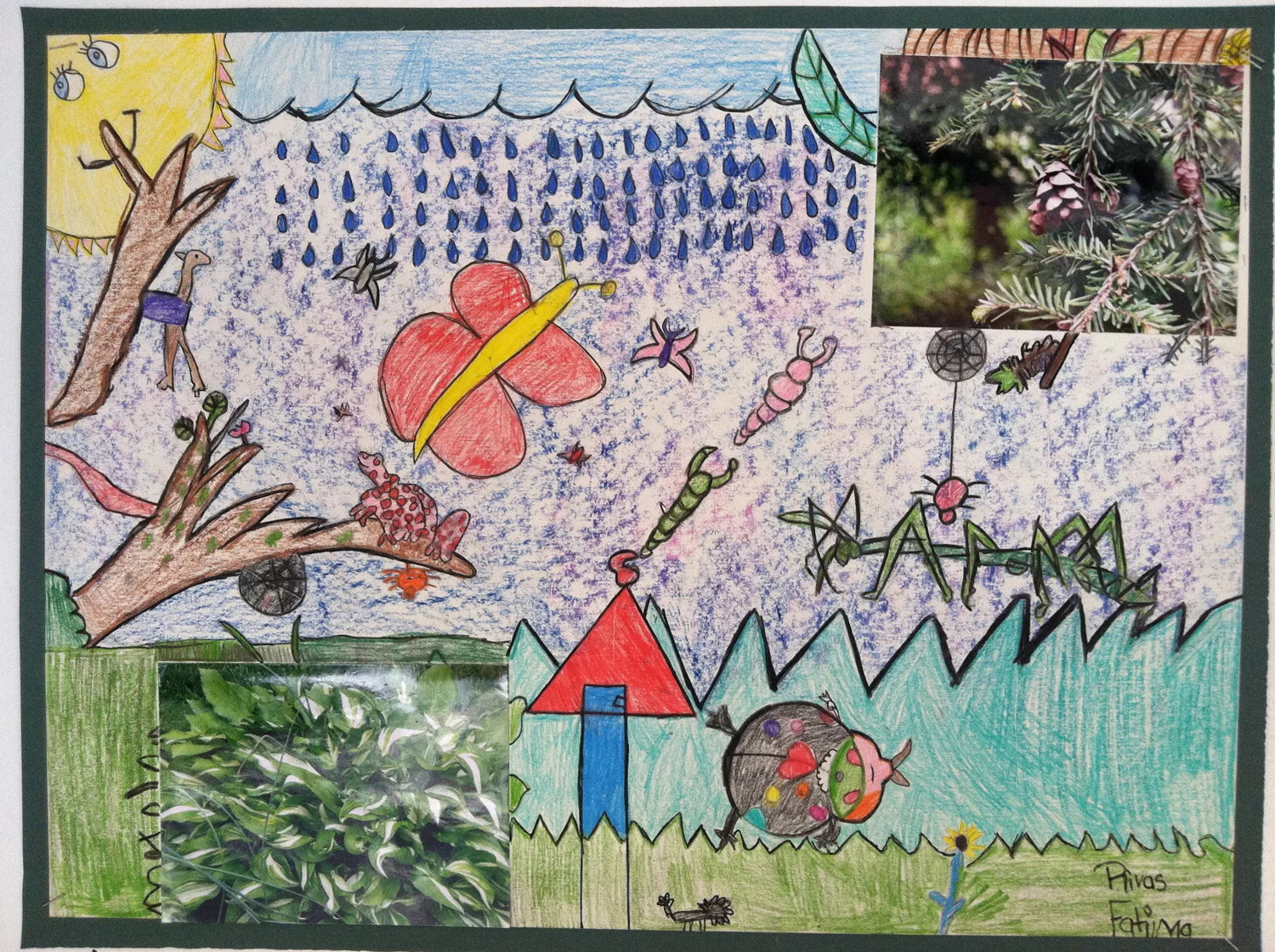 ©2012Fatima Rivas..jpg