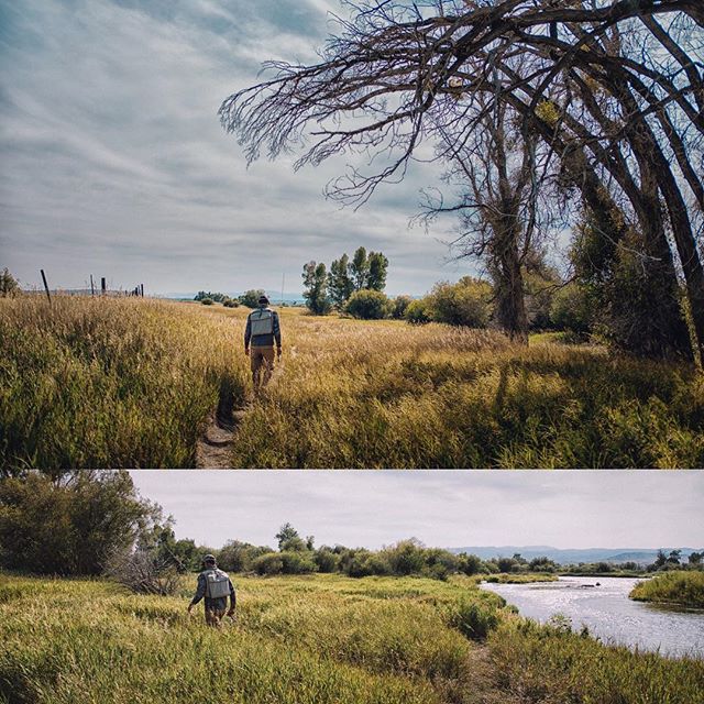“Who cares what the question is, fly fishing is the answer.”
#flyfishing #montana #outside #fujifilm #fujixt20