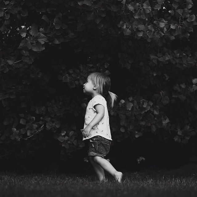I’ve gotten in the habit of bringing out my camera whenever she’s out exploring in the backyard. #fujixt20 #fujifilm #blackandwhitephotography