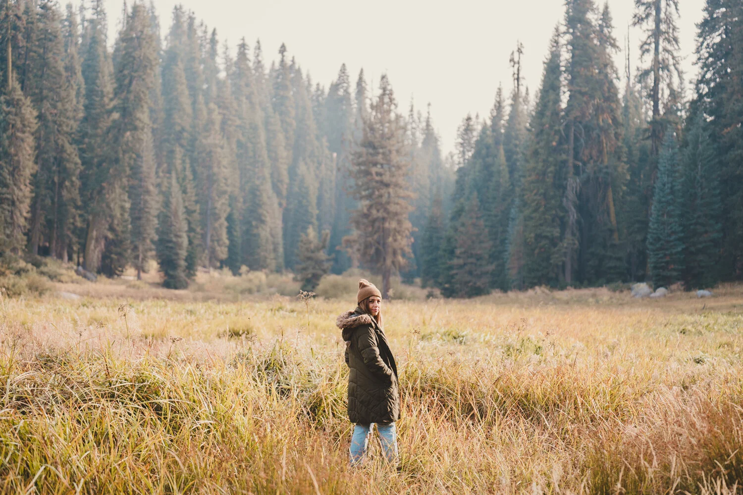 Two Ferns Co Sequoia