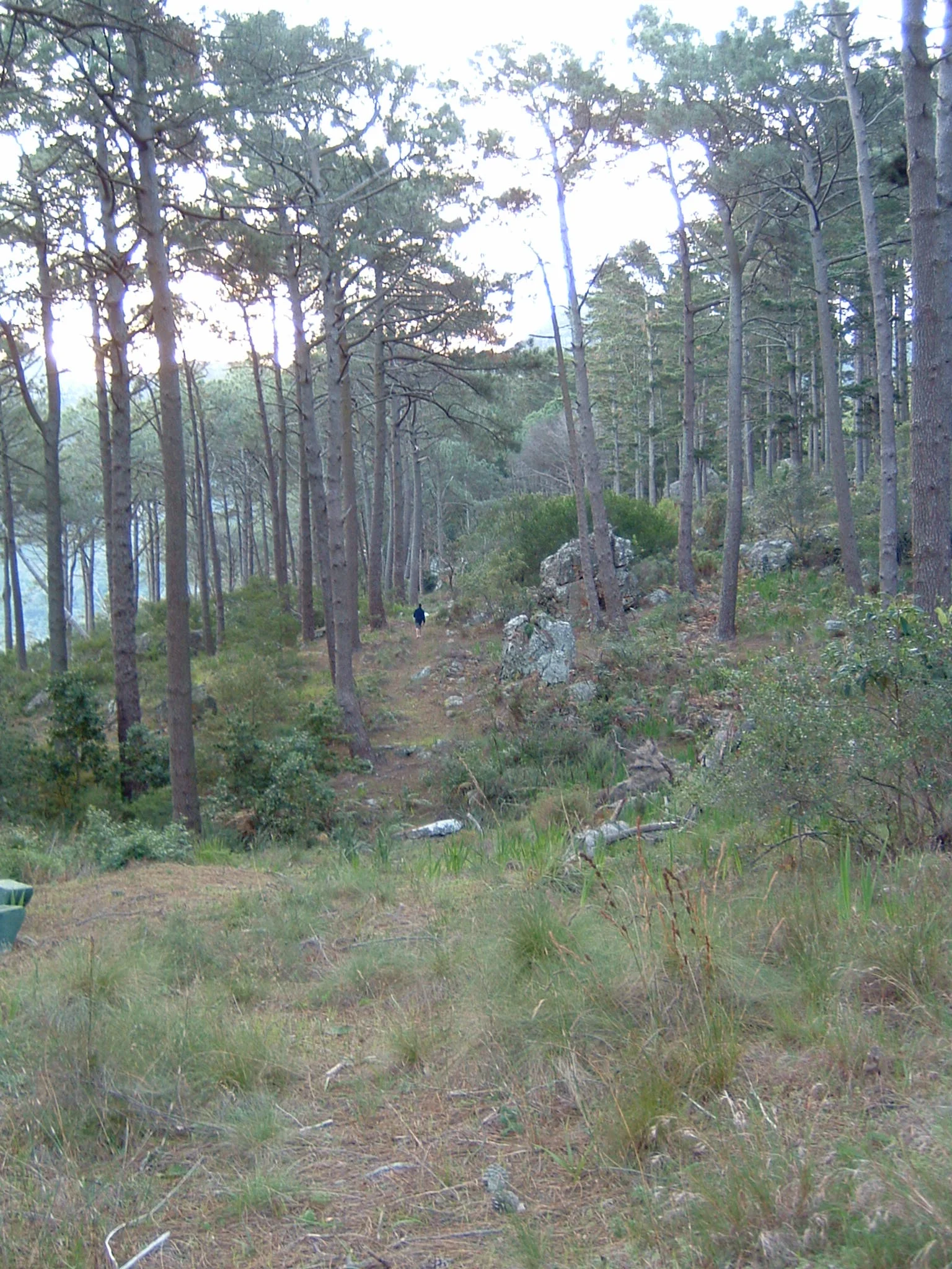DSCF0035.JPG