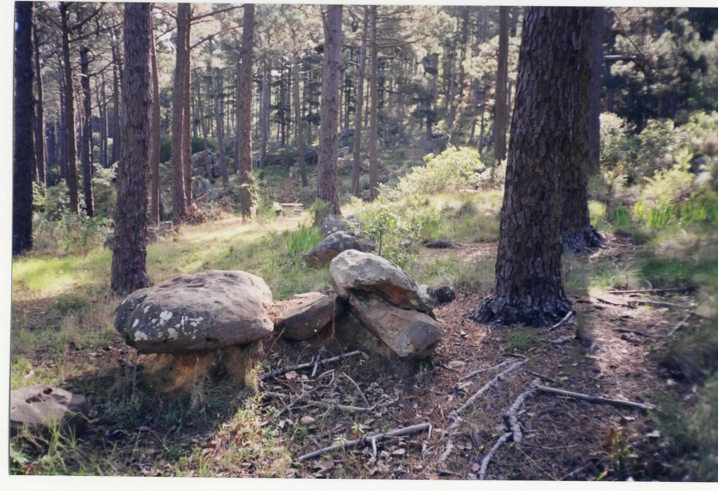site 4.JPG