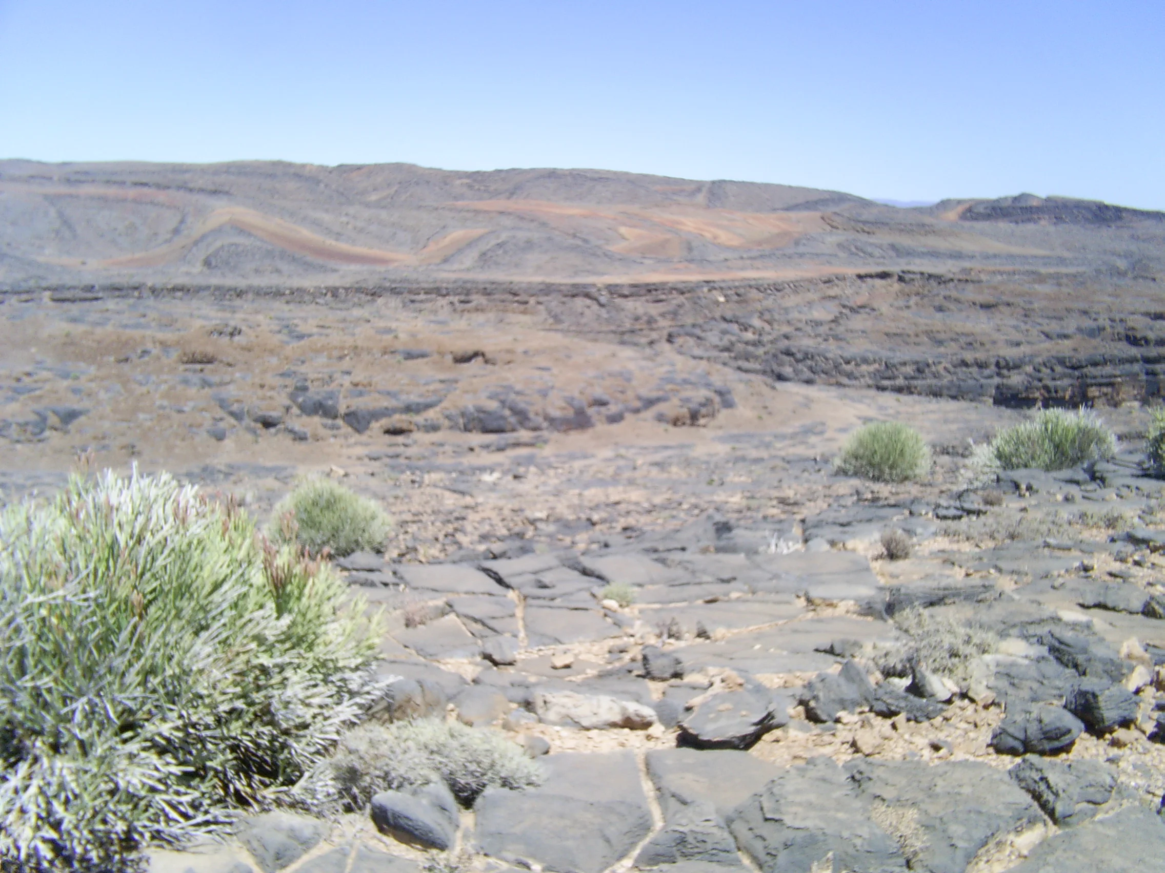 S4020318.JPG