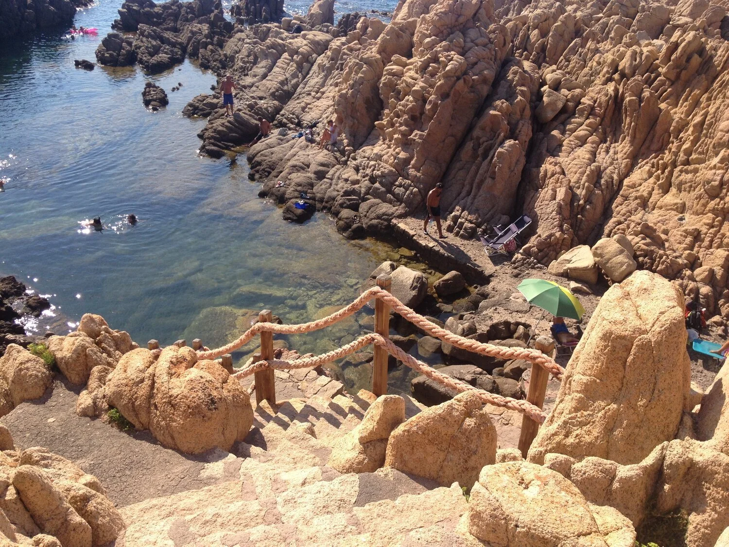 Escape the COVID Blues