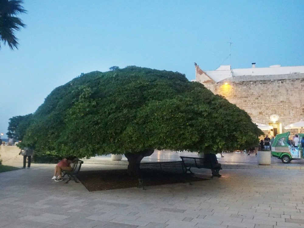 otranto-italy-otranto-town-claudinehart.jpg