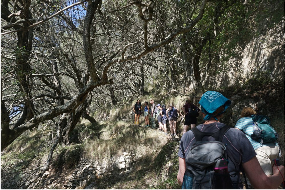 claudine-hart-corfu-hiking-eucalyptus-forest-2.jpg