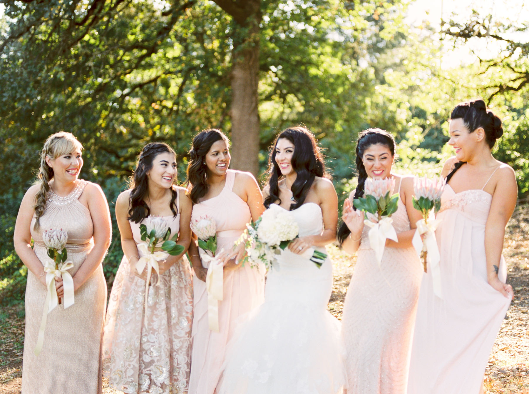 Bride and Bridesmaids in sunlight