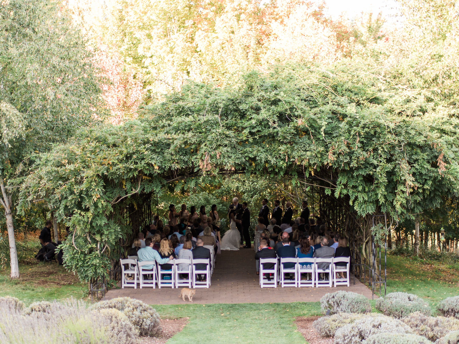 Oregon Olive Mill Wedding