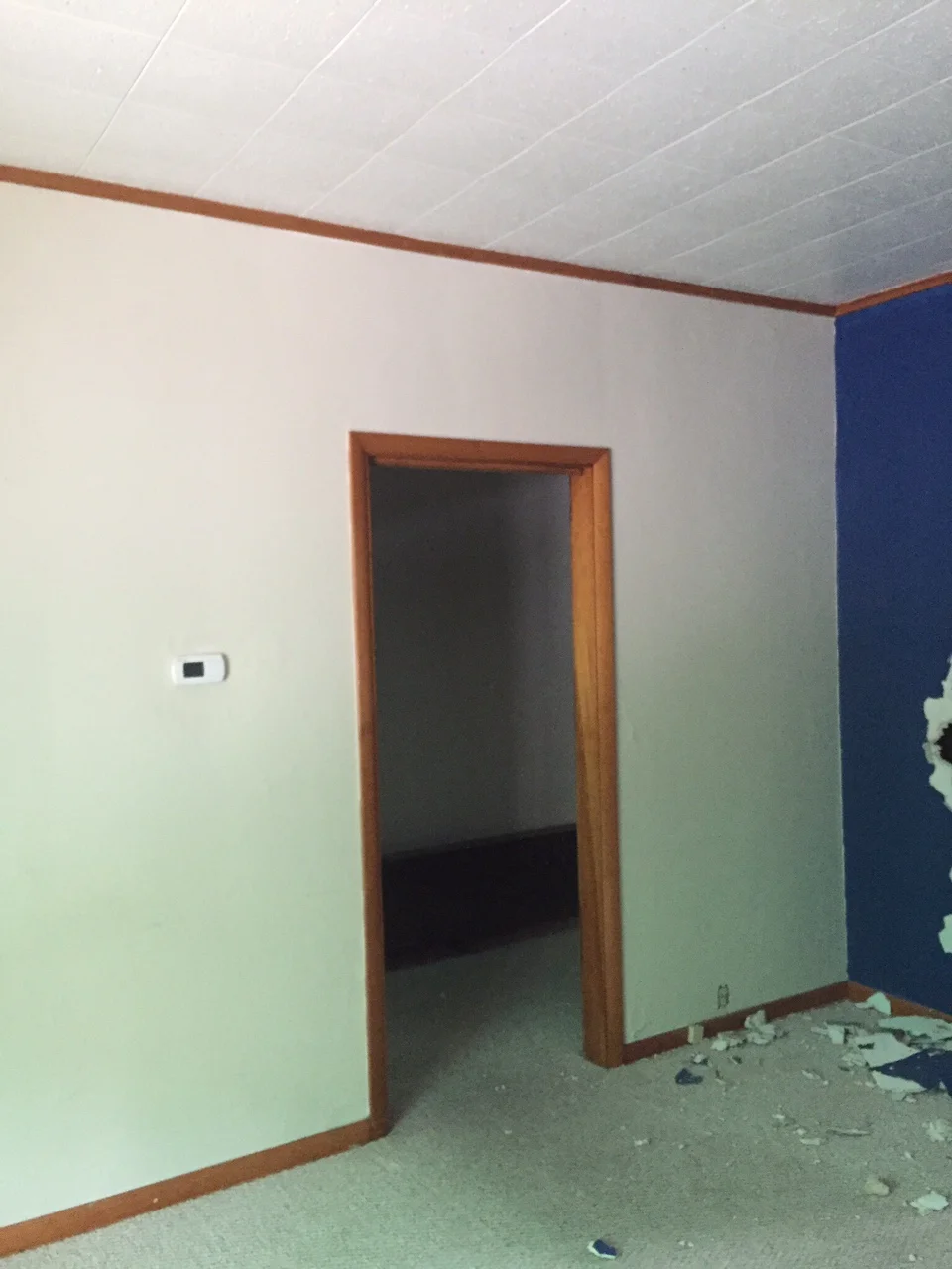 Before. Living Room/Entry.