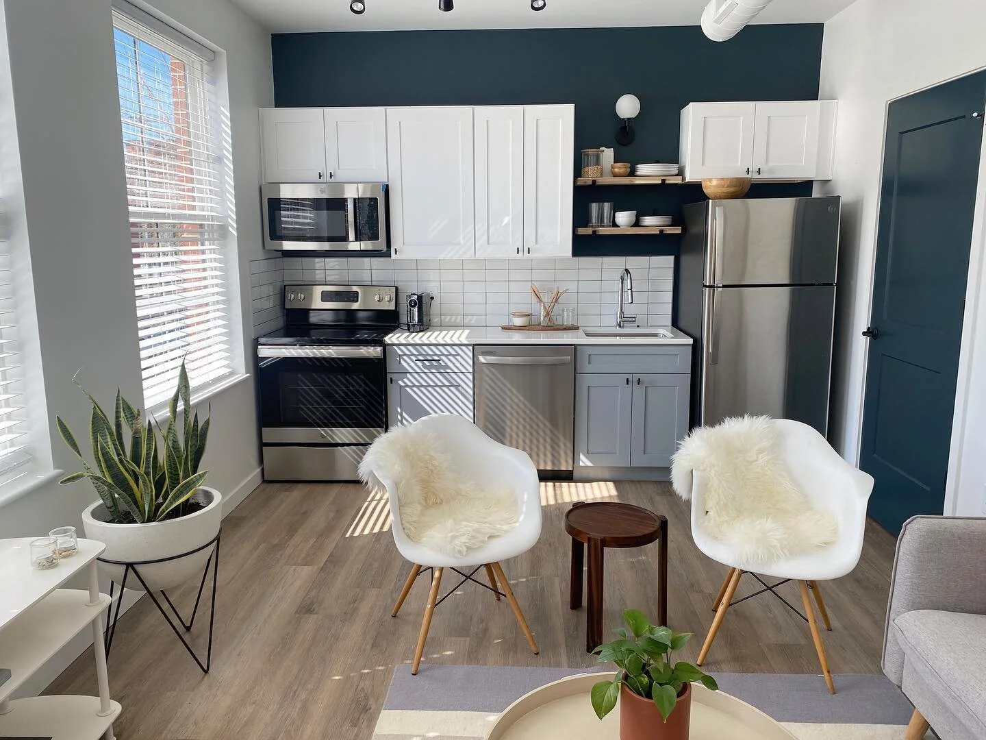 New construction, deluxe kitchen, open floor plan, in-unit W&D, must love sun. ☀️🪴