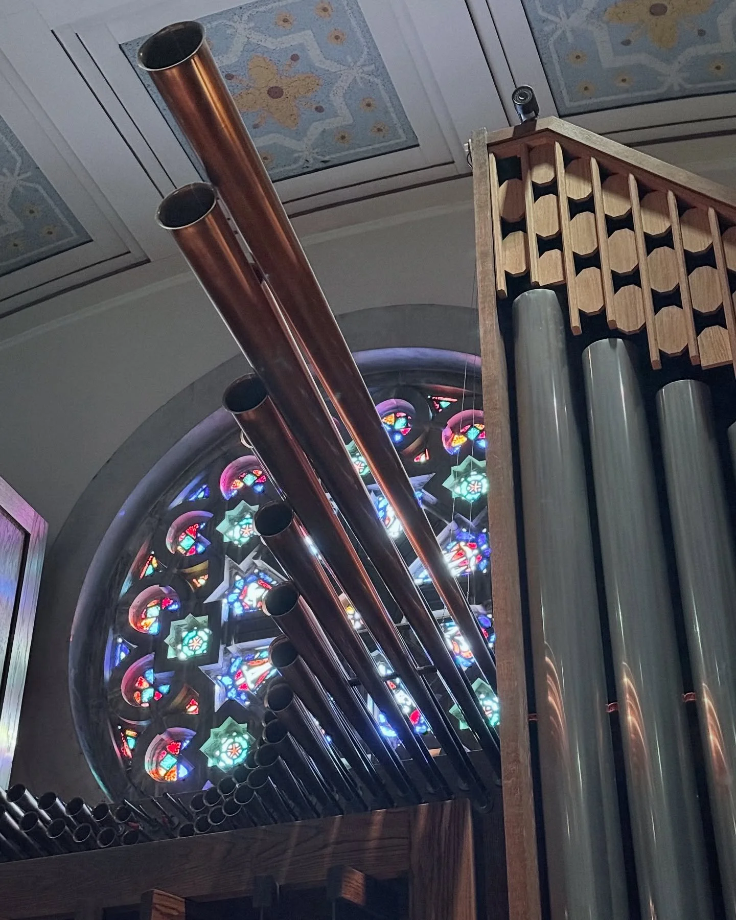 Morning light with a side of chamades.