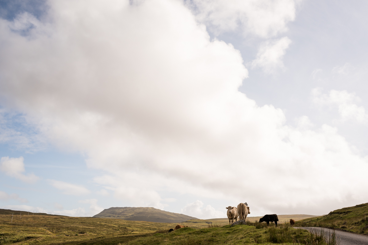 20170818Scotland-0779©chicksphoto.jpg