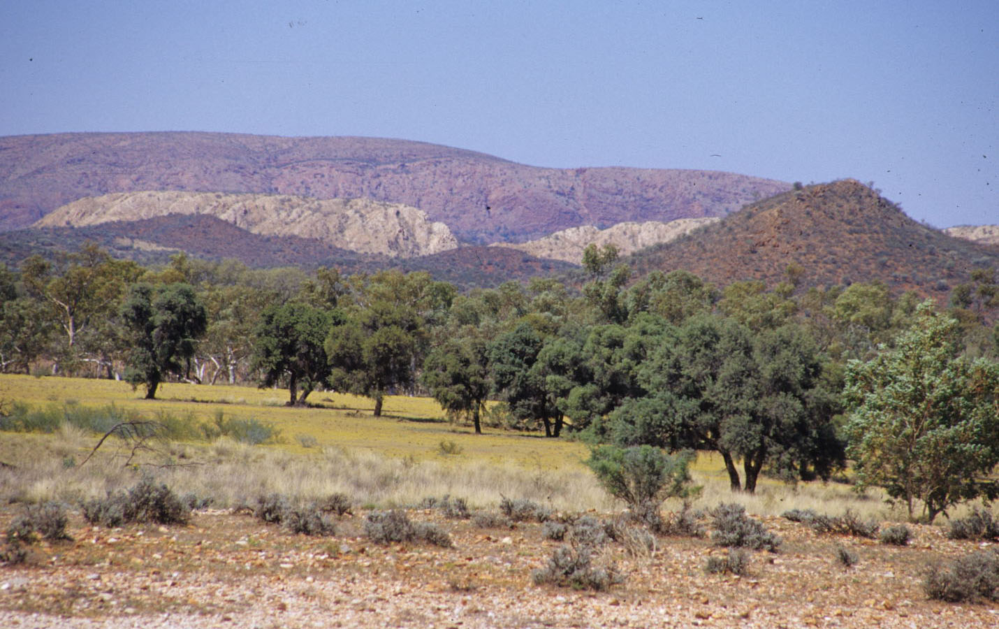 East MacDonnell Ranges, NT.