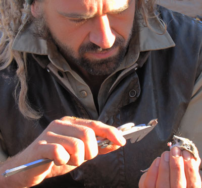 Ecologist Dr Max Tischler collects measurements, 2010.
