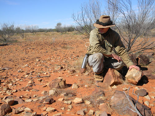 Archaeologist Dr Mike Smith examines an aboriginal tool factory, 2010.