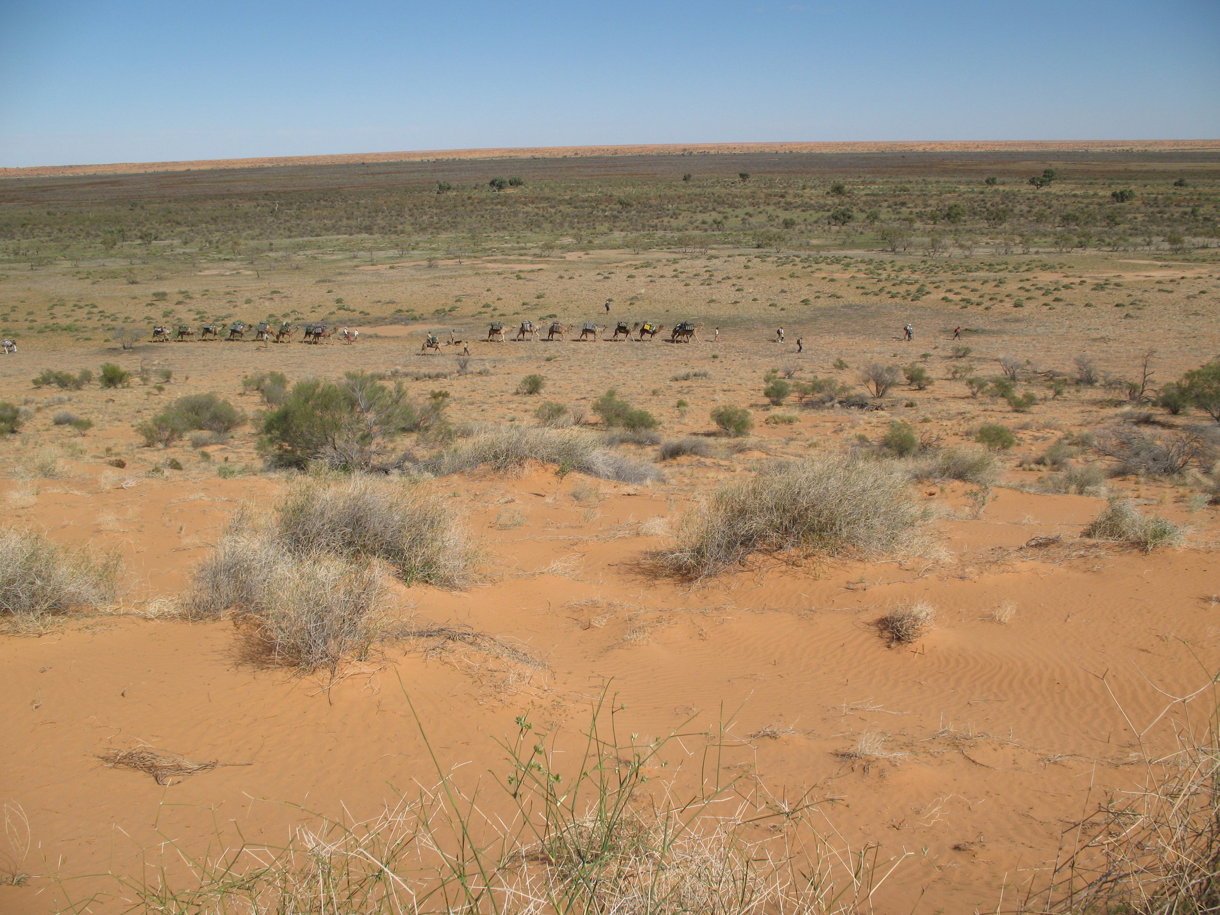 On the move, eastern Simpson Desert Archaeology Expedition 2008.