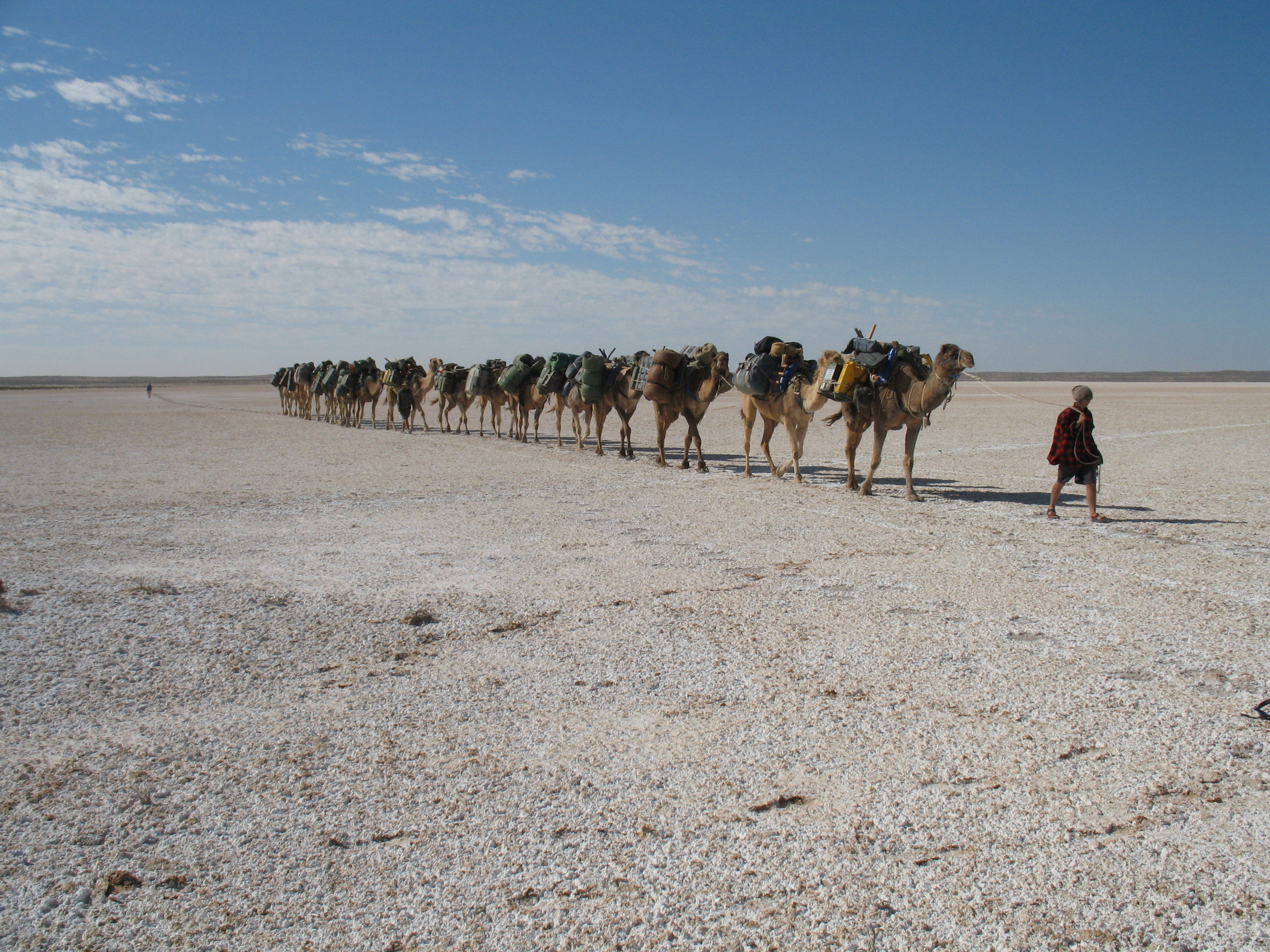 Leading the camels across a small salt lake.