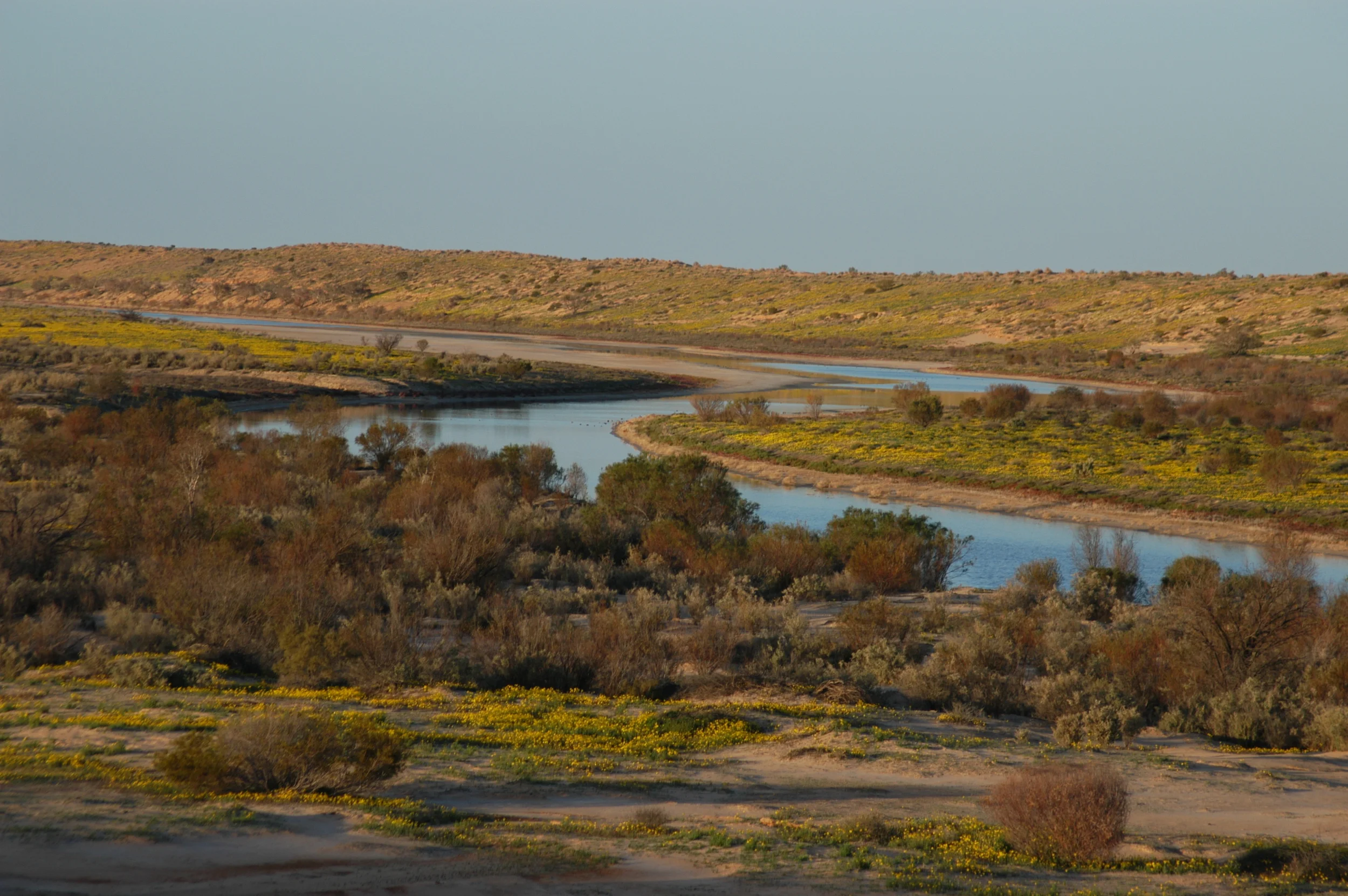 DSC_0149.JPG
