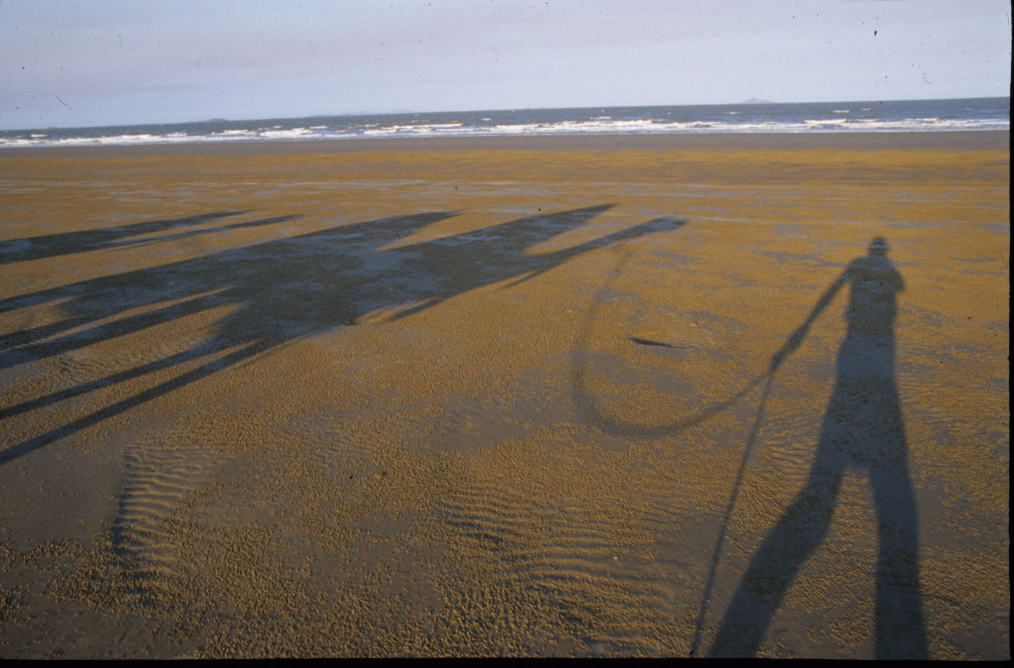 beach - shadows.jpg