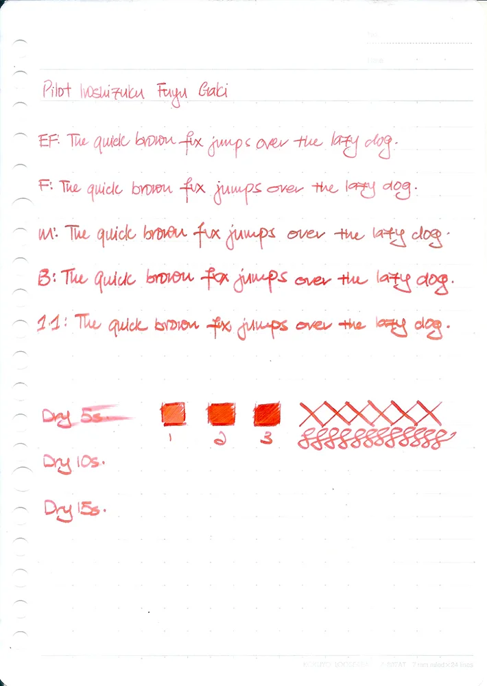 Pilot Iroshizuku Fuyu Gaki 1.jpeg