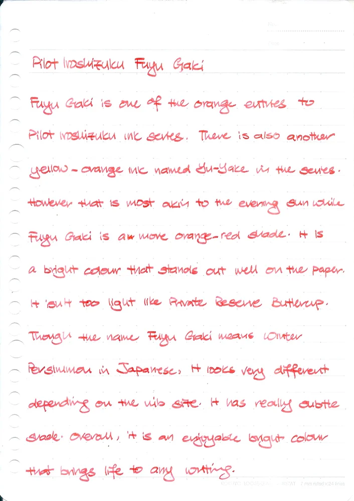 Pilot Iroshizuku Fuyu Gaki 2.jpeg