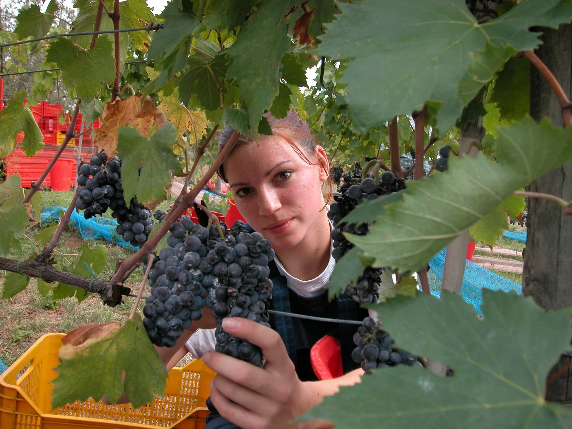 DSCN4167.jpg