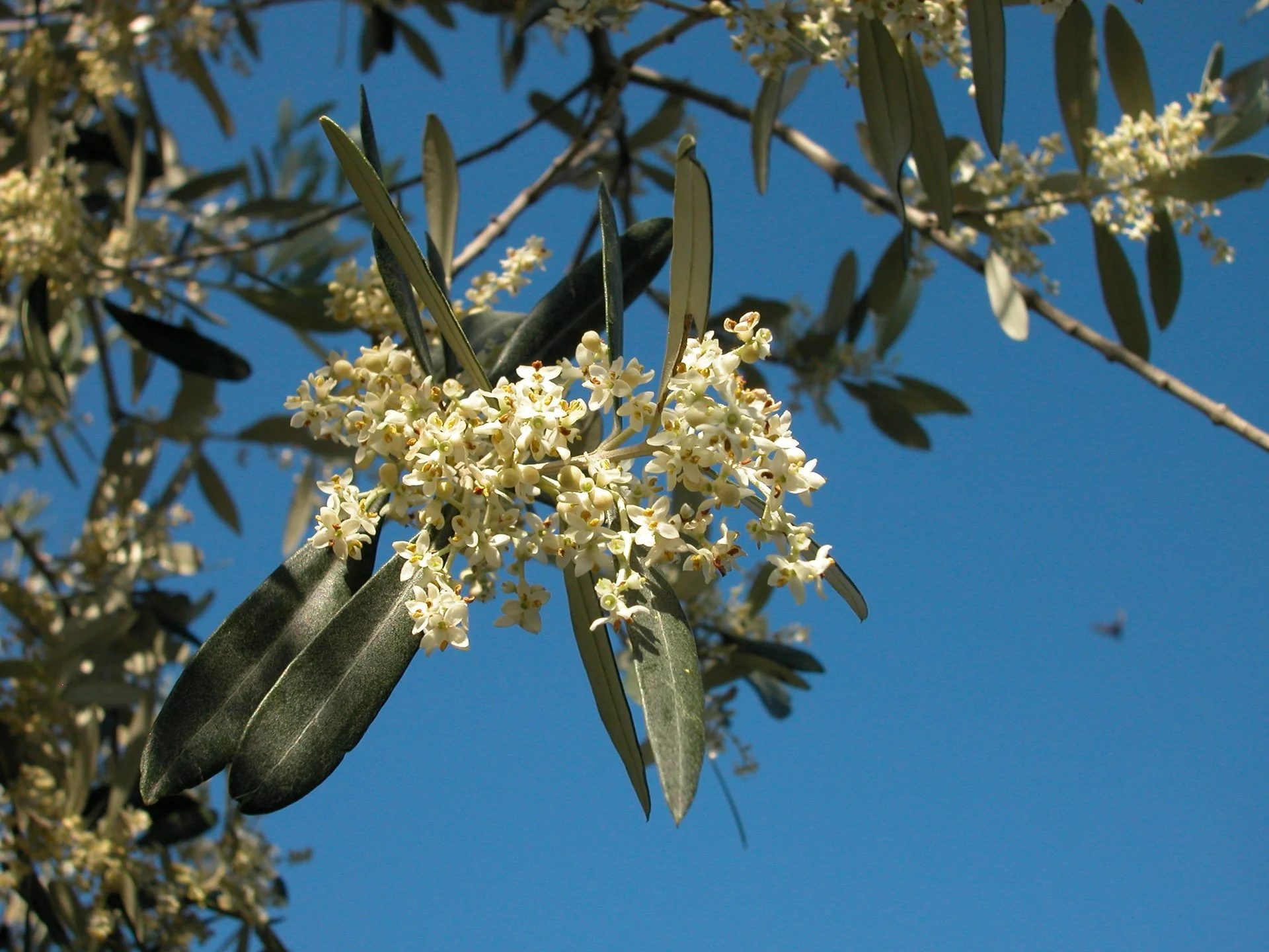 DSCN4712.jpg