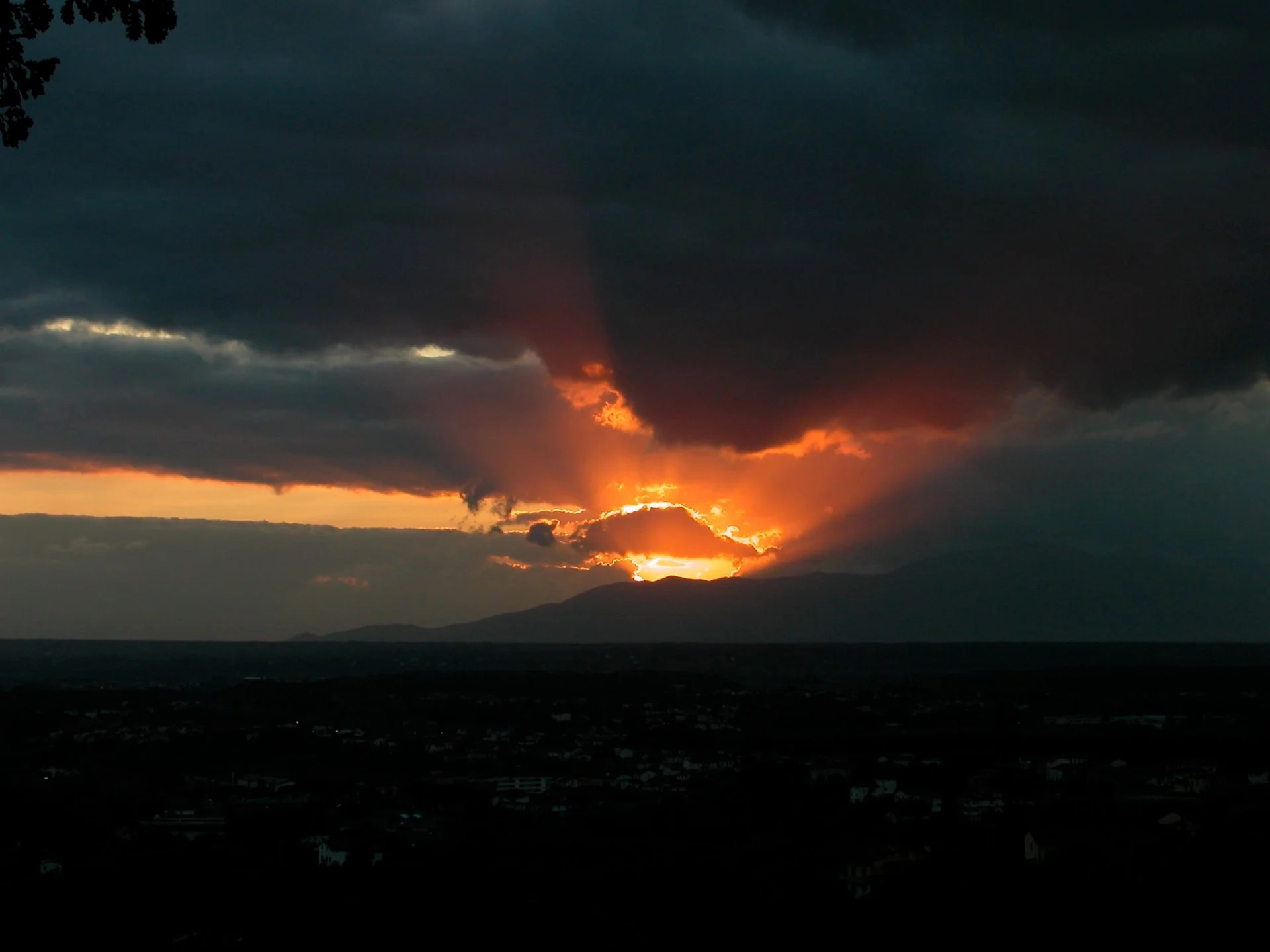 DSCN4695.jpg