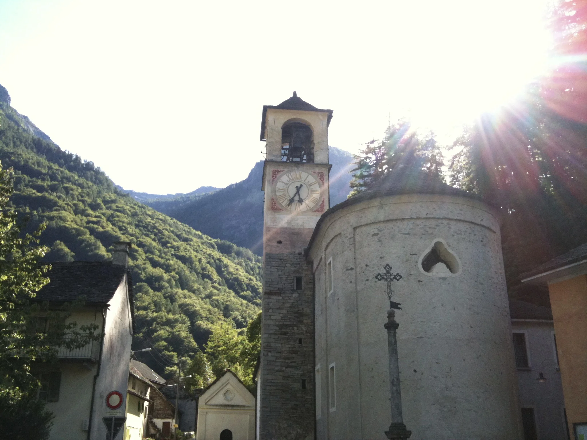 IMG_1556.jpg