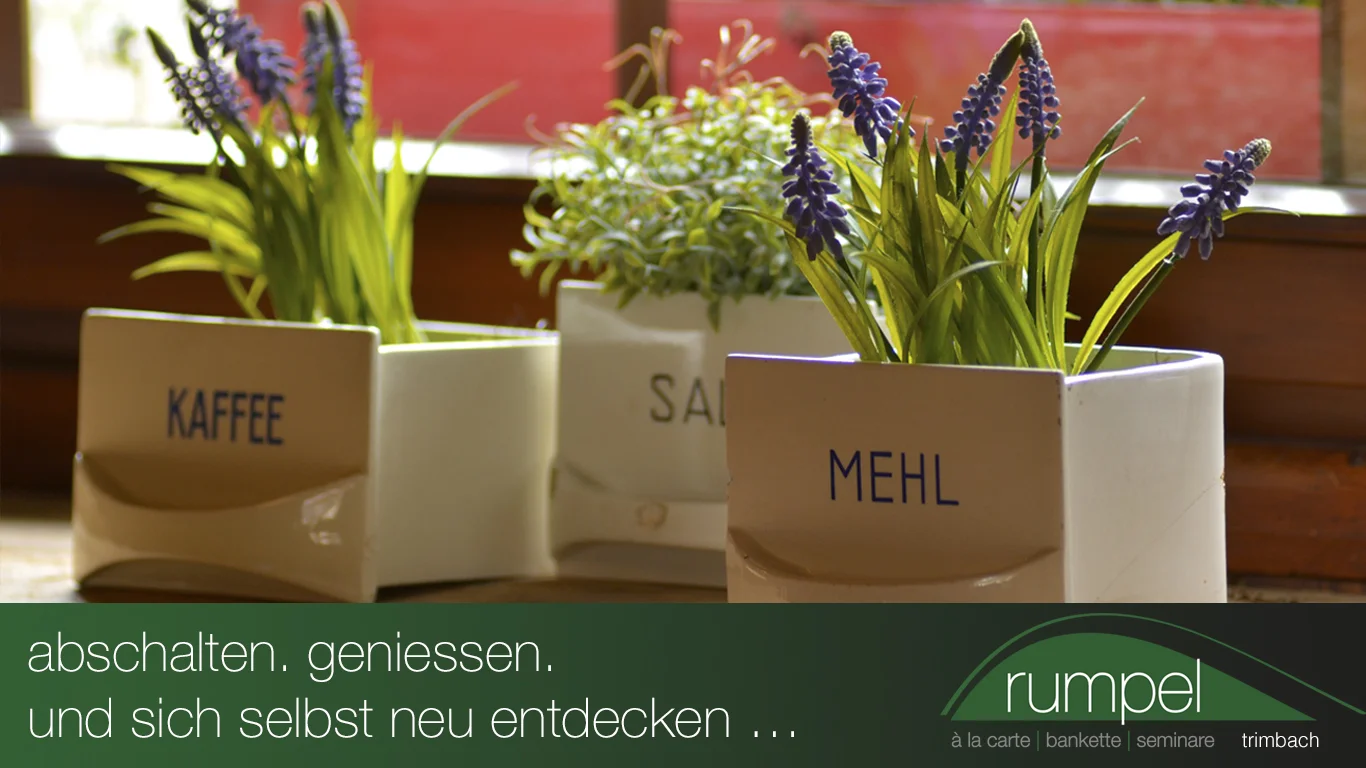 Kinodia "Entdecken*.