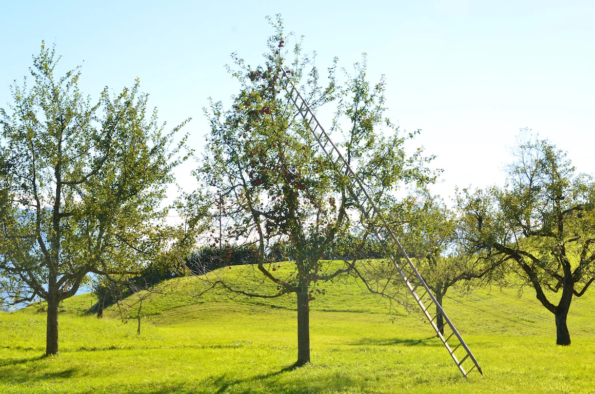 Eveline_Ott_Swiss_tavolata_by_Jean-Pierre Ritler_149.jpg