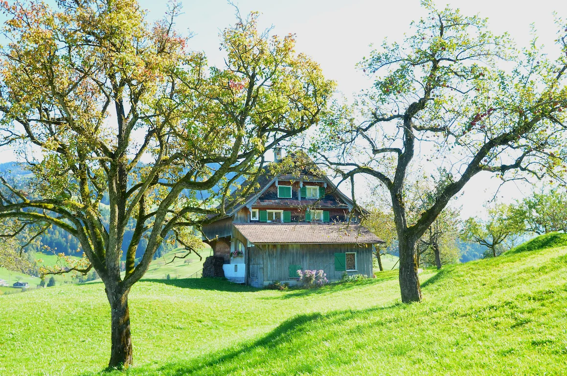 Eveline_Ott_Swiss_tavolata_by_Jean-Pierre Ritler_148.jpg
