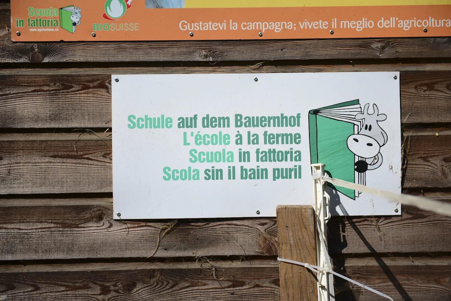Nicoletta Zanetti, Semione_Bild J.P. Ritler_005.jpg