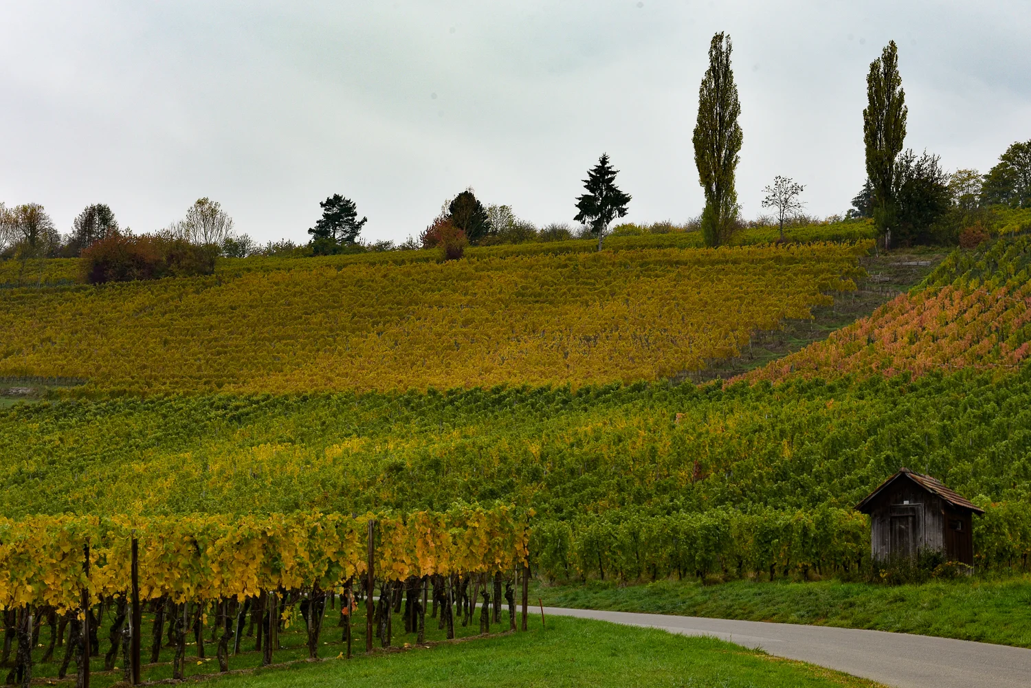 Peter Boesch_Swiss Tavolata_Foto Jean-Pierre Ritler_012.jpg