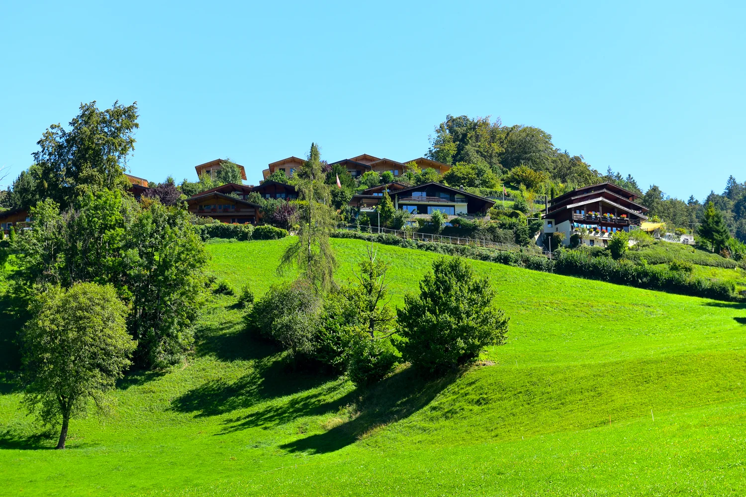 Erika Hänni_Swiss Tavolata_Bild JP. Ritler_9530.jpg