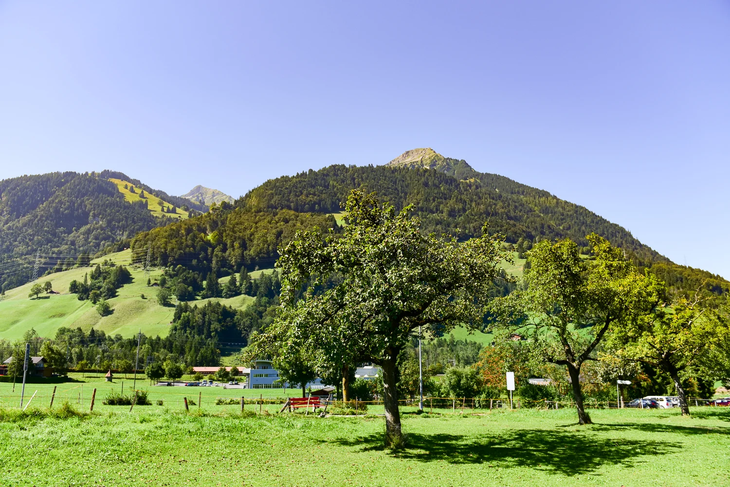 Erika Hänni_Swiss Tavolata_Bild JP. Ritler_9781.jpg