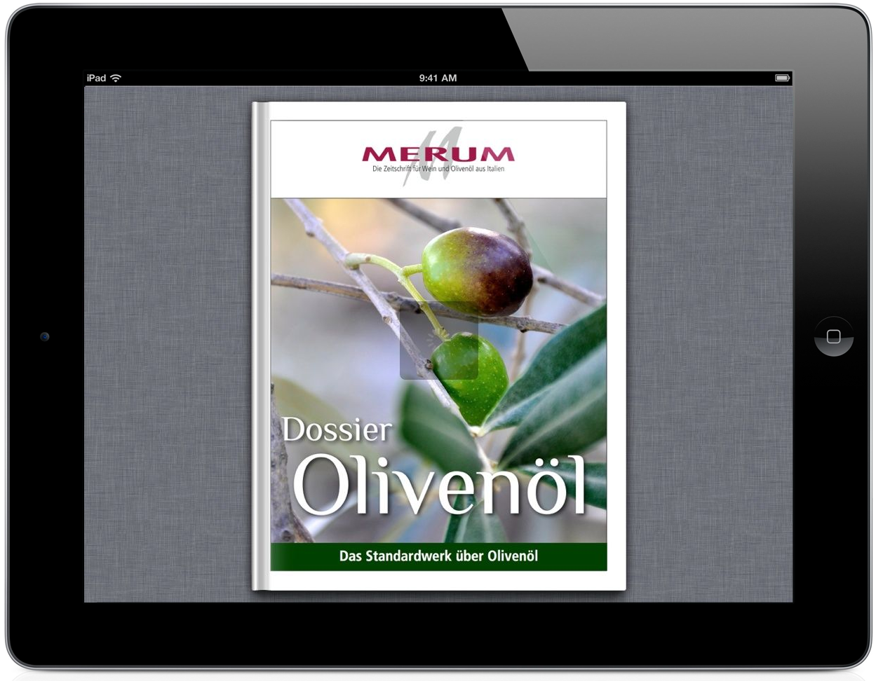 ibook2-2.png