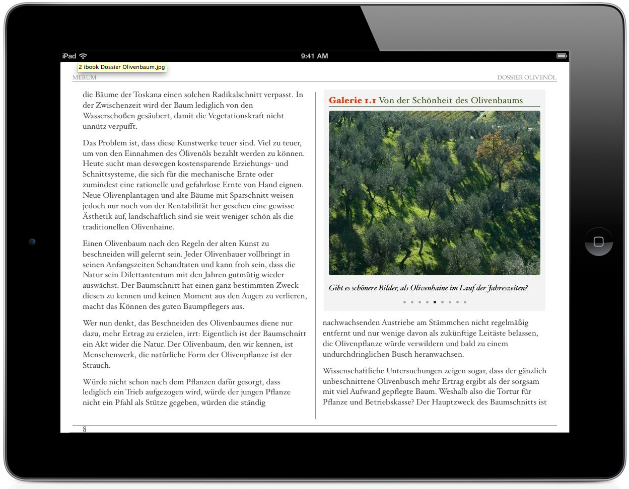 ibook3-2.png
