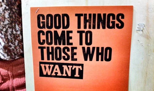 Freedom from want