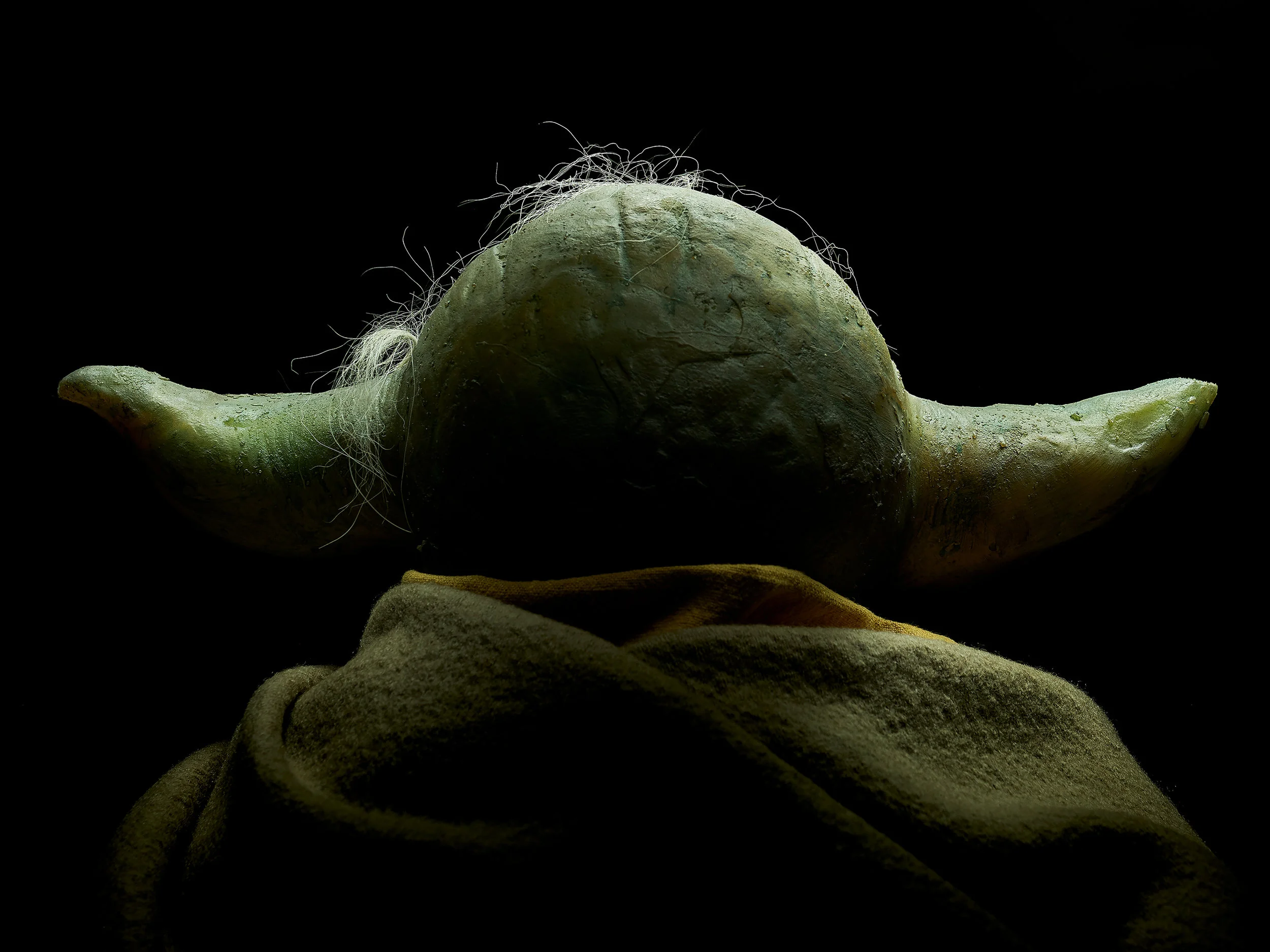 Jason Nicholas_Yoda from behind.jpg