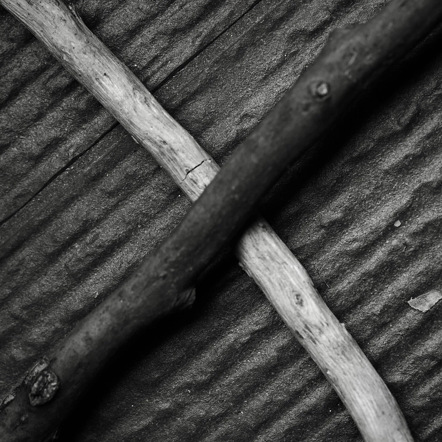 Another rainy day walk.