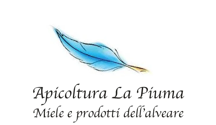 Grafica1 (1).jpg