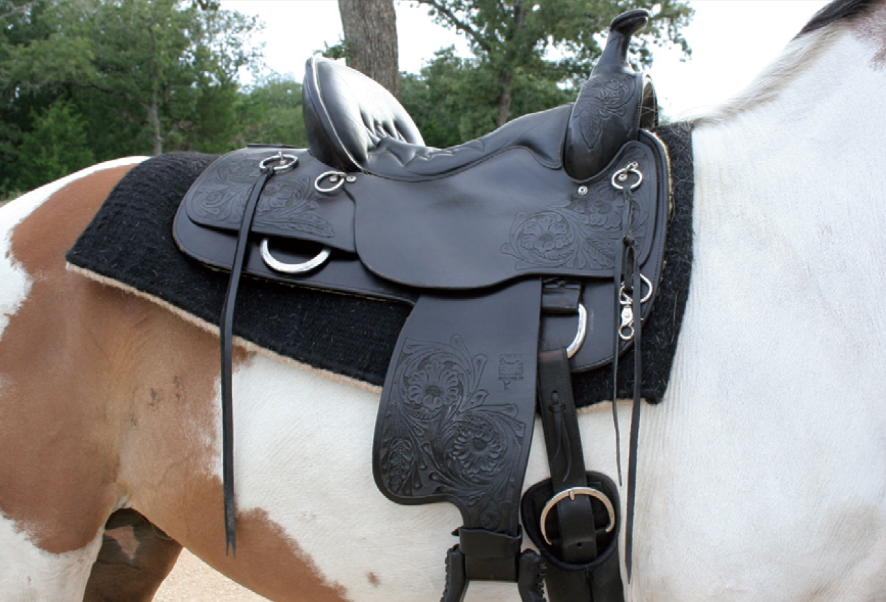 Great saddle fit-the saddle is level and there is adequate gullet clearance.