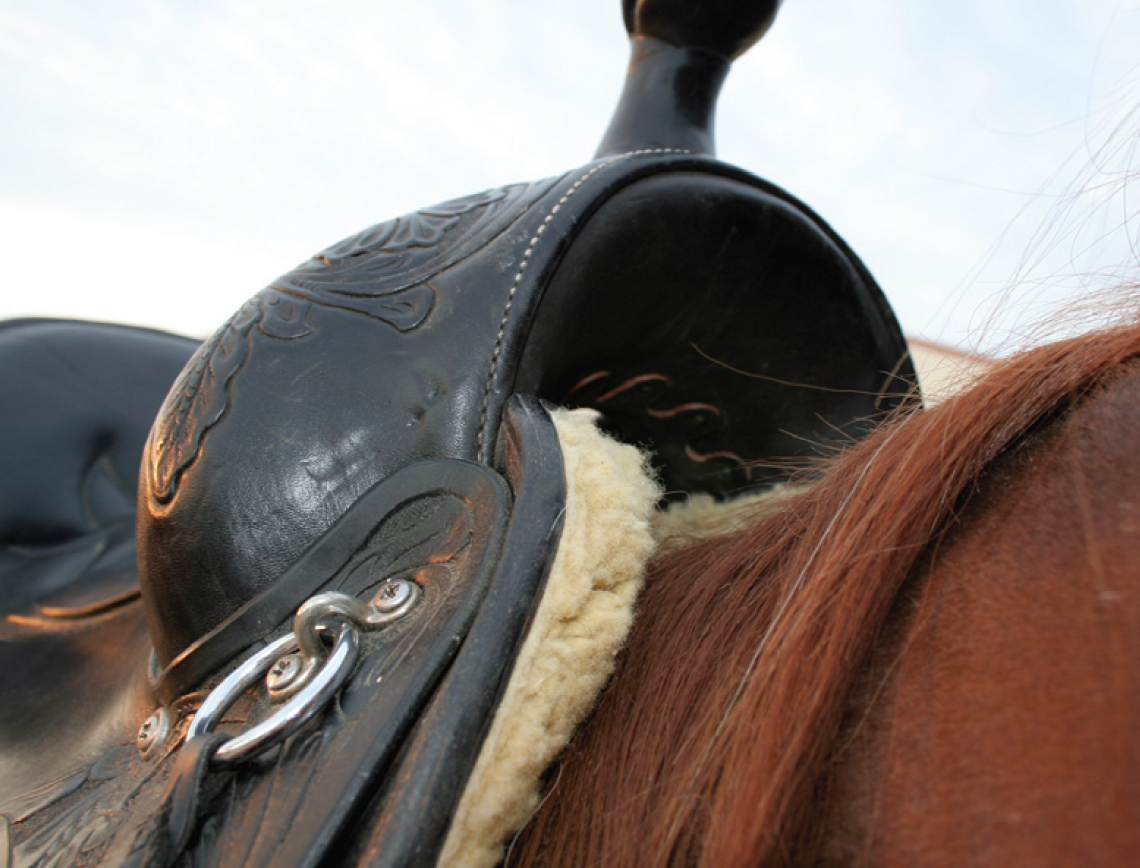 LEFT: Saddle is too narrow and perched up on this horse’s withers. Pinching would occur.